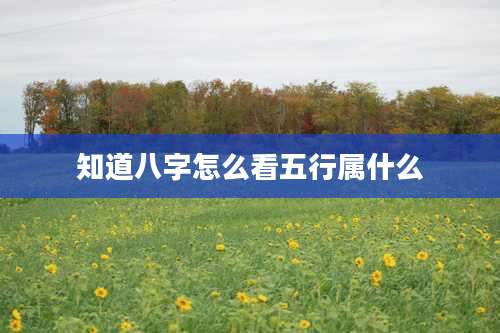 知道八字怎么看五行属什么