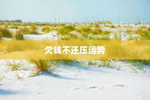 欠钱不还压运势