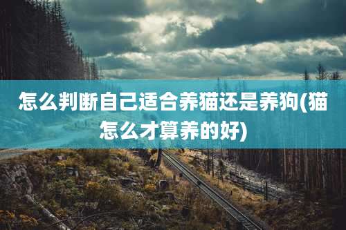 怎么判断自己适合养猫还是养狗(猫怎么才算养的好)