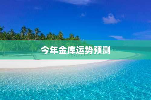 今年金库运势预测