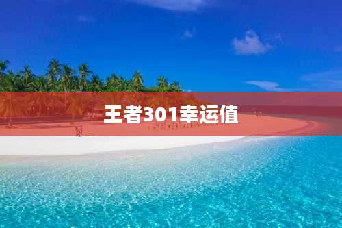 王者301幸运值