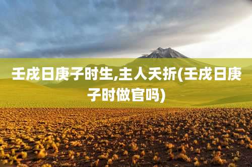 壬戌日庚子时生,主人夭折(壬戌日庚子时做官吗)