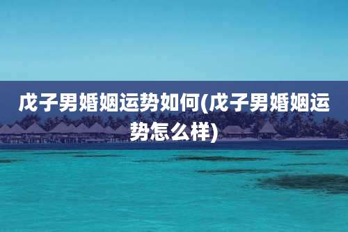 戊子男婚姻运势如何(戊子男婚姻运势怎么样)