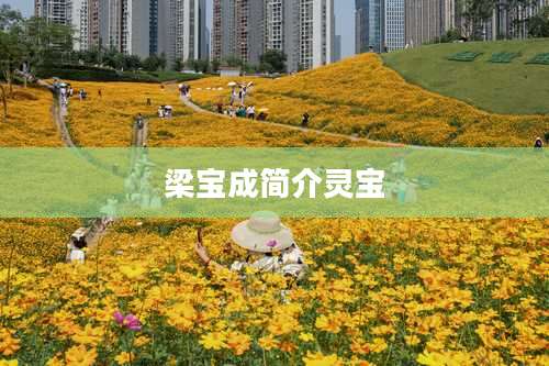 梁宝成简介灵宝