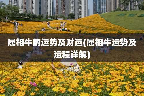 属相牛的运势及财运(属相牛运势及运程详解)