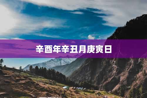 辛酉年辛丑月庚寅日