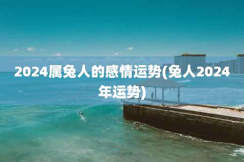 2024属兔人的感情运势(兔人2024年运势)