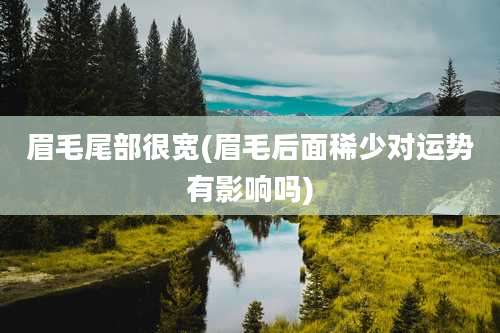 眉毛尾部很宽(眉毛后面稀少对运势有影响吗)