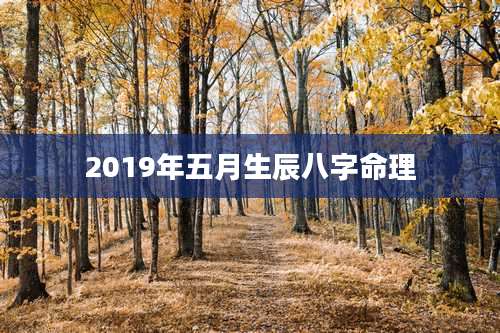 2019年五月生辰八字命理