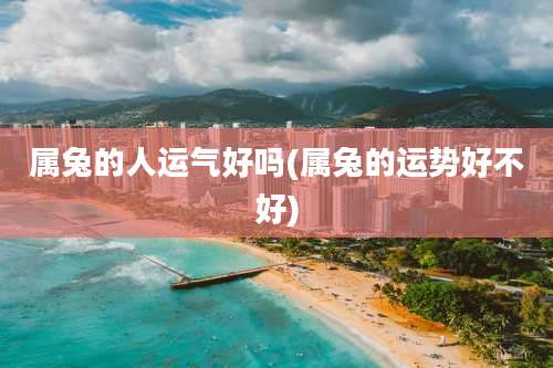 属兔的人运气好吗(属兔的运势好不好)