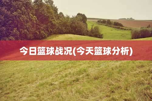 今日篮球战况(今天篮球分析)