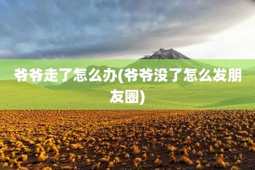 爷爷走了怎么办(爷爷没了怎么发朋友圈)