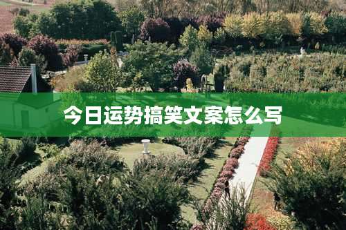今日运势搞笑文案怎么写