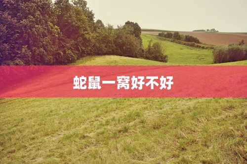蛇鼠一窝好不好