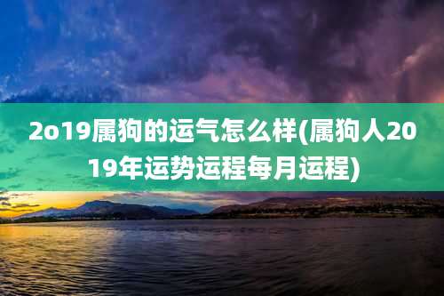 2o19属狗的运气怎么样(属狗人2019年运势运程每月运程)