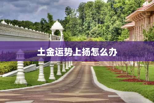 土金运势上扬怎么办