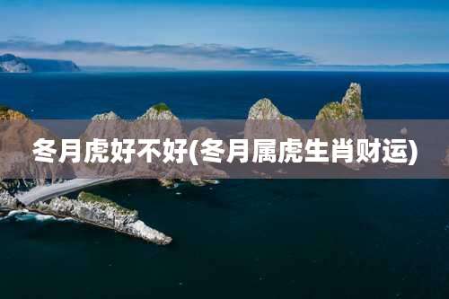 冬月虎好不好(冬月属虎生肖财运)