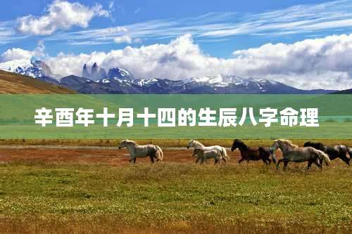 辛酉年十月十四的生辰八字命理