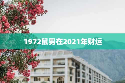 1972鼠男在2021年财运