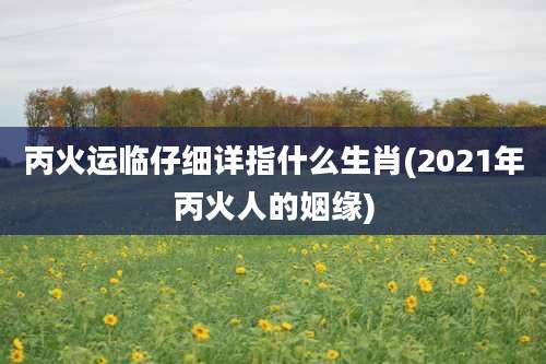 丙火运临仔细详指什么生肖(2021年丙火人的姻缘)