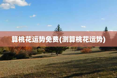 算桃花运势免费(测算桃花运势)