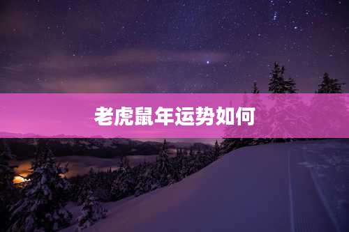老虎鼠年运势如何