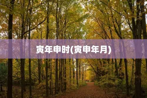 寅年申时(寅申年月)