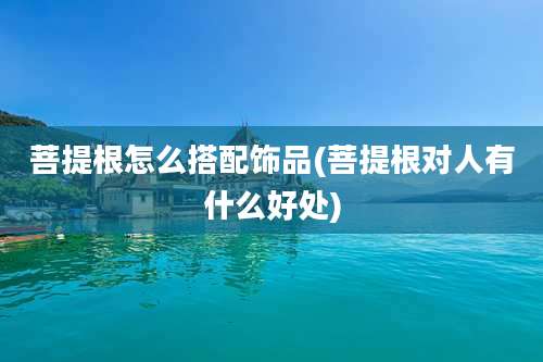 菩提根怎么搭配饰品(菩提根对人有什么好处)