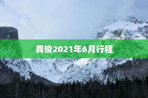 龚俊2021年6月行程