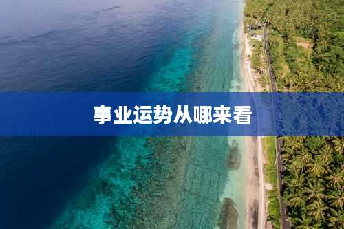 事业运势从哪来看