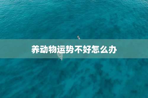 养动物运势不好怎么办