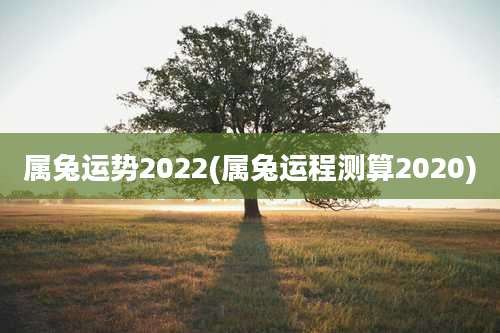 属兔运势2022(属兔运程测算2020)