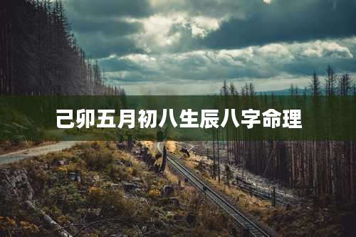 己卯五月初八生辰八字命理