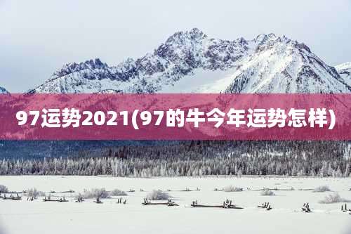 97运势2021(97的牛今年运势怎样)