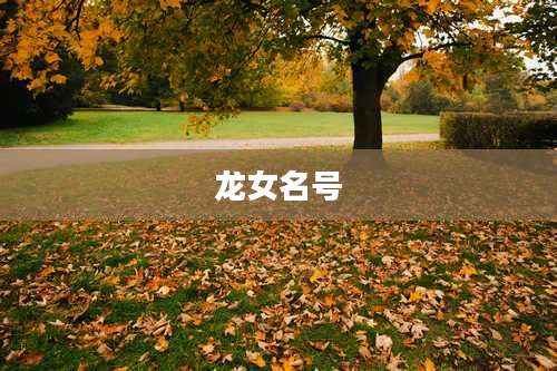 龙女名号