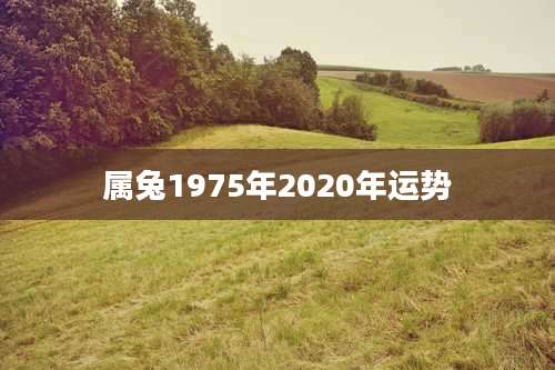 属兔1975年2020年运势