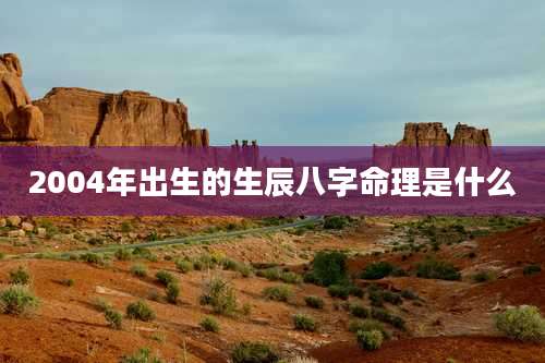 2004年出生的生辰八字命理是什么