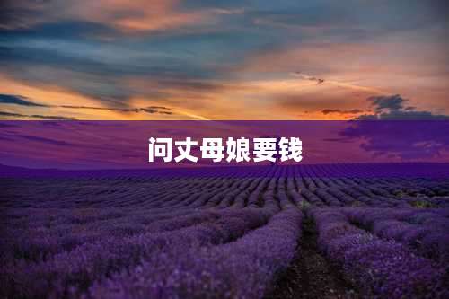 问丈母娘要钱