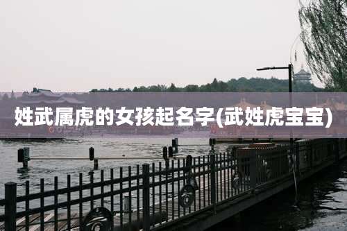 姓武属虎的女孩起名字(武姓虎宝宝)