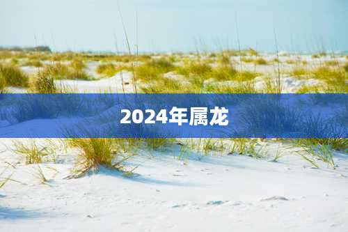 2024年属龙