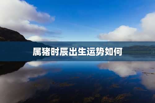 属猪时辰出生运势如何