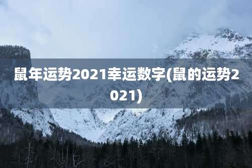 鼠年运势2021幸运数字(鼠的运势2021)