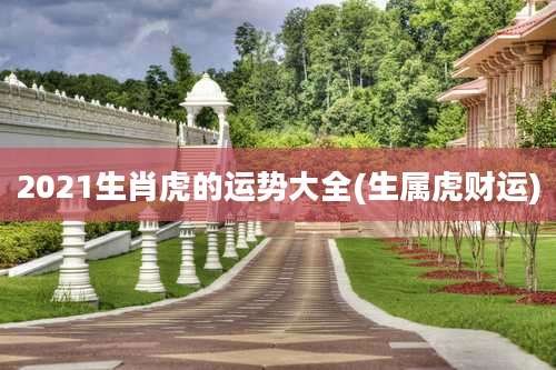 2021生肖虎的运势大全(生属虎财运)