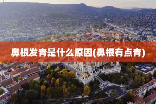 鼻根发青是什么原因(鼻根有点青)