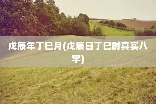 戊辰年丁巳月(戊辰日丁巳时真实八字)