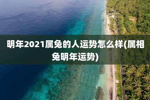 明年2021属兔的人运势怎么样(属相兔明年运势)