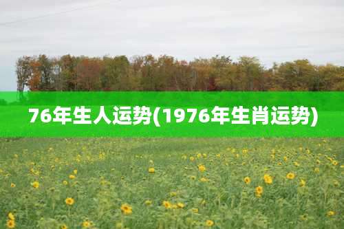 76年生人运势(1976年生肖运势)