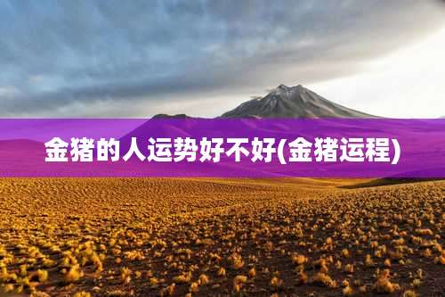 金猪的人运势好不好(金猪运程)