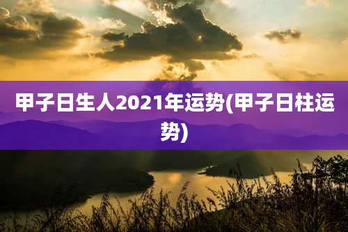 甲子日生人2021年运势(甲子日柱运势)