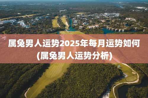 属兔男人运势2025年每月运势如何(属兔男人运势分析)